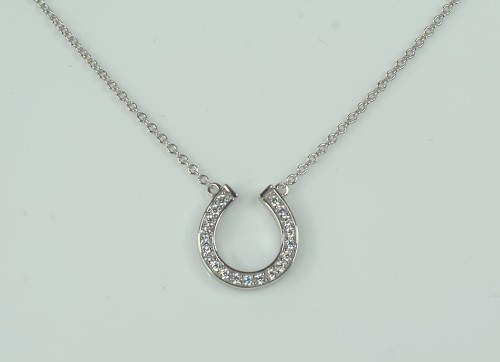 Sterling Silver/CZ Horseshoe Pendant and Chain